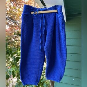 Rujuta Sheth Jogger Pants - 2X - Cobalt